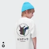 Japanese streetwear brand short-sleeved T-shirts for boys, Pokemon cartoon printed tops, loose half-sleeved shirts for children, wholesale for export Application Scenario